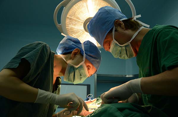 微信圖片_20250917145429.jpg 微信圖片_20250917145429.jpg