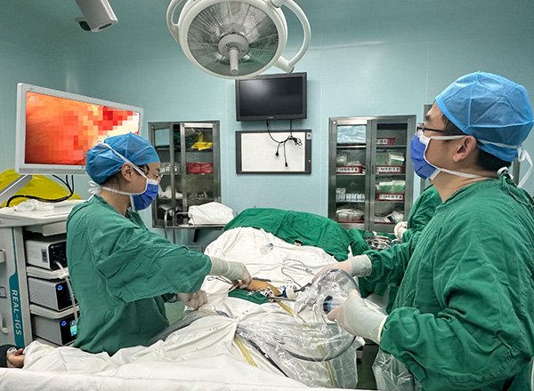 DM_20251111174751_002.jpg DM_20251111174751_002.jpg